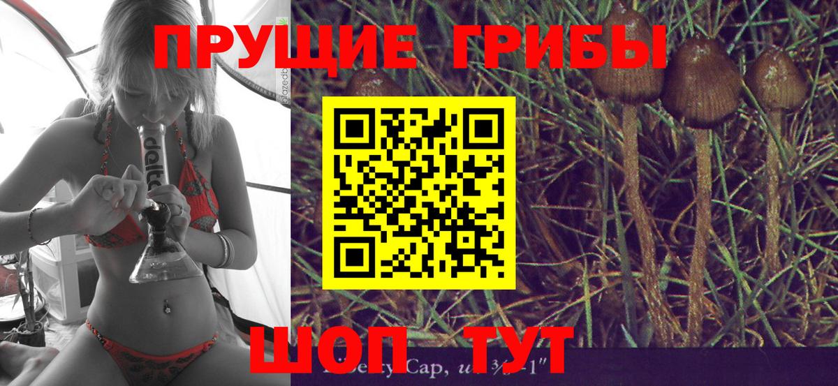 Рассказово  дарнет шоп  Вход с VPN  Галлюциногенные грибы прущие грибы 